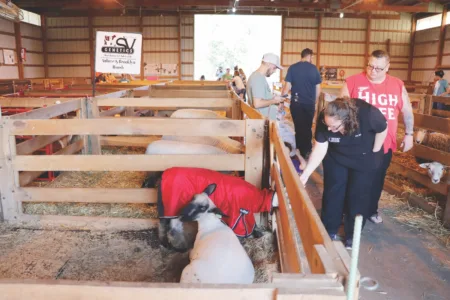 Barlow Independent Fair announces 2026 fair dates